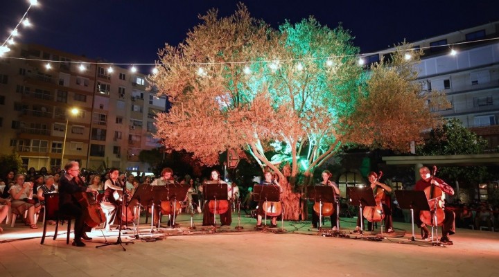 MAV Cello Ensemble, Zeytin Altında yaz esintisi yaşattı