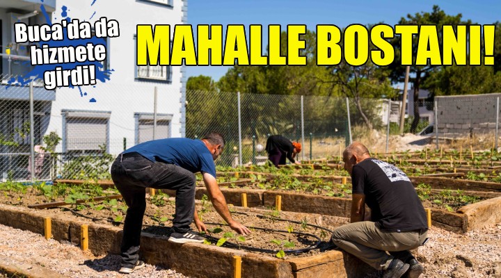 Mahalle Bostanı projesi Buca'da!