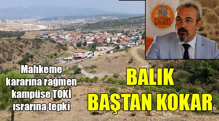 Mahkeme kararına rağmen kampüse TOKİ ısrarına tepki: ''BALIK BAŞTAN KOKAR''