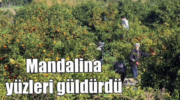 Mandalina yüz güldürdü!