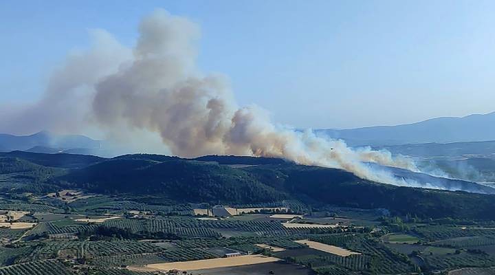 Manisa'da kontrol altına alınan orman yangını yeniden başladı