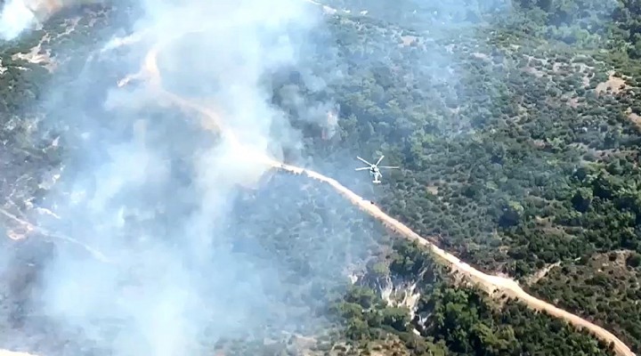 Manisa'da orman yangını!