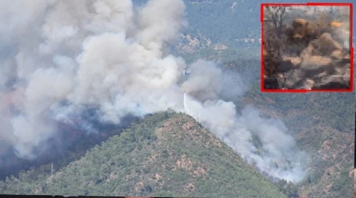 Marmaris'te orman yangını: Ceset nedeniyle çıkmış!