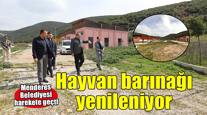 Menderes'te atıl haldeki hayvan barınağı yenileniyor