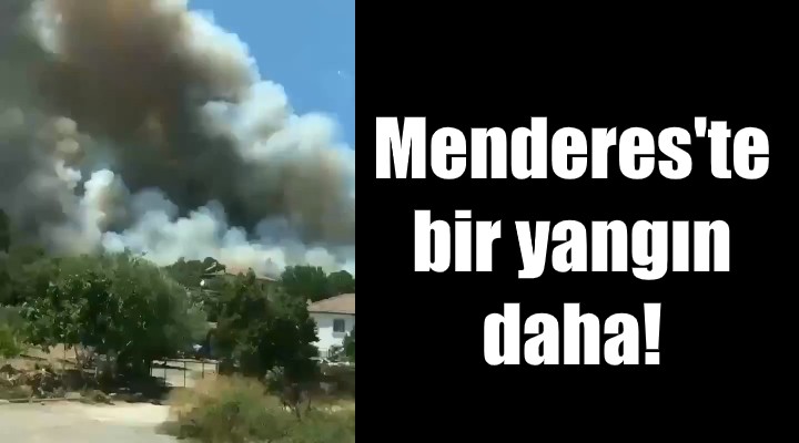 Menderes'te bir orman yangını daha!