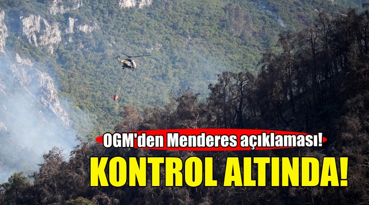 Menderes'teki yangın kontrol altına alındı!