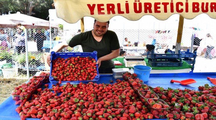 Menemen'de çilek festivali