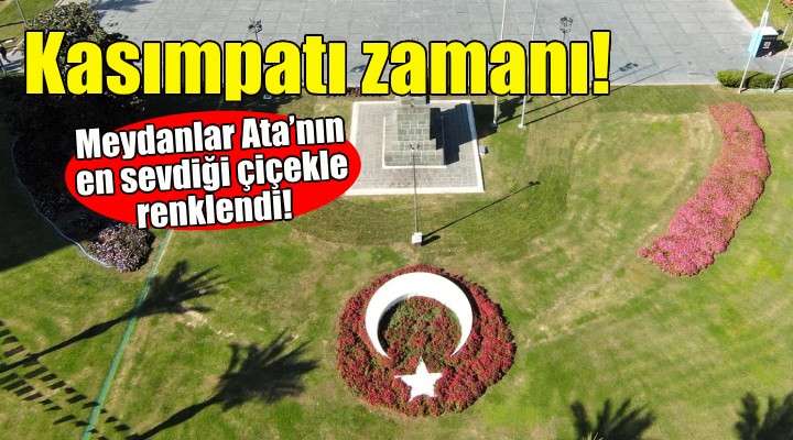 İzmir'de meydanlar, Ata'nın en sevdiği çiçekle renklendi!