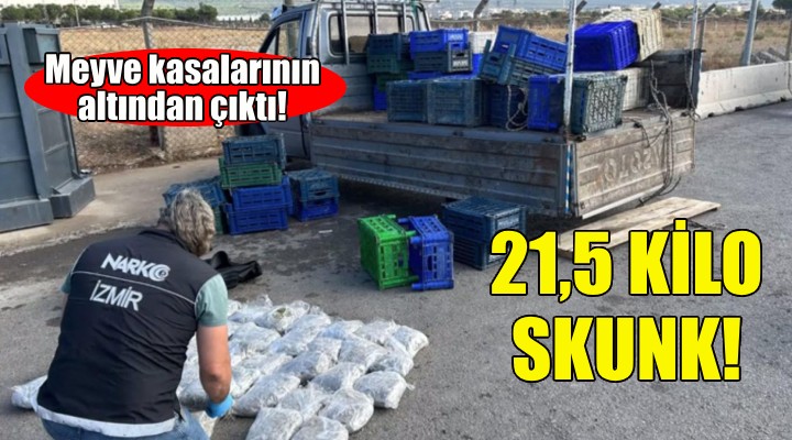 Meyve kasalarının altından 21,5 kilo skunk çıktı!