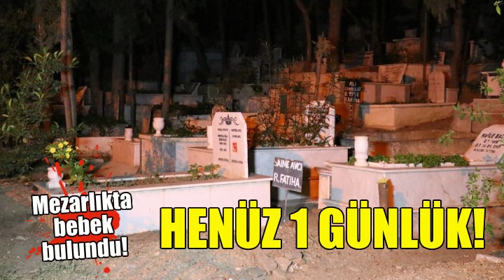 Mezarlıkta 1 günlük bebek bulundu!