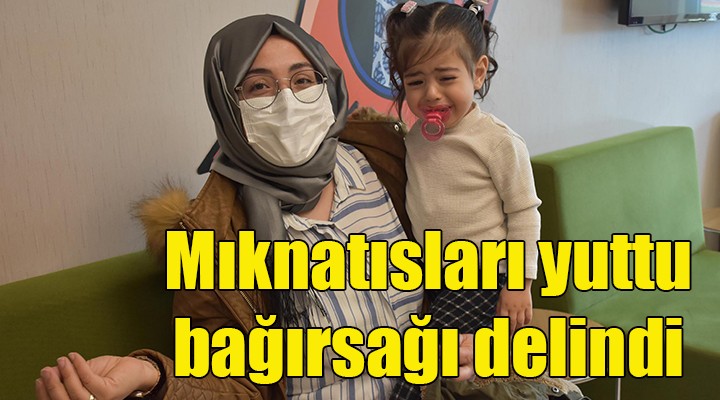 Minik Beren oyuncağın mıknatıslarını yuttu, bağırsağı delindi!