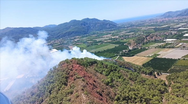 Muğla'da orman yangını paniği!