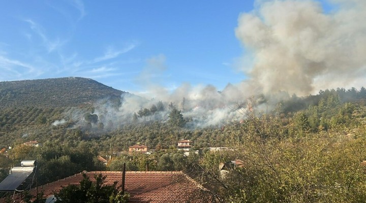 Muğla'da orman yangını!