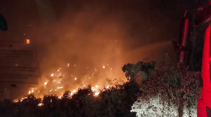 Muğla'da yangın sürüyor... Kayıp çok büyük!