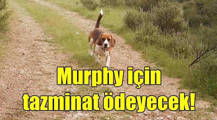 Murphy'i öldüren doktor tazminat ödeyecek!
