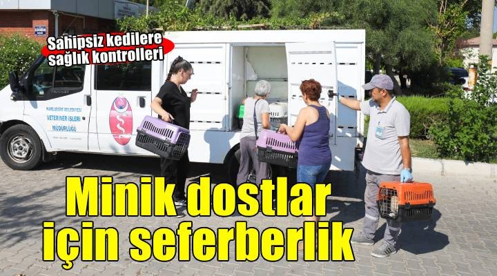 Narlıdere Belediyesi'nden minik dostlar için seferberlik!