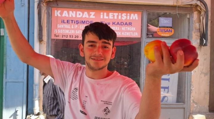 Nektarinin tanesi kirazın beş katı fiyata!