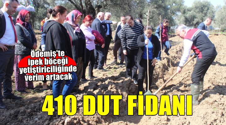 Ödemiş'te ipek böceği yetiştiriciliği için dut fidanı dikildi