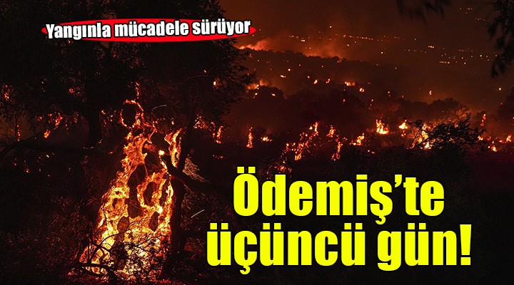 Ödemiş'te yangının 3. günü...