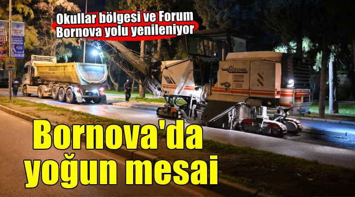 Okullar Bölgesi ve Forum Bornova yolu yenileniyor