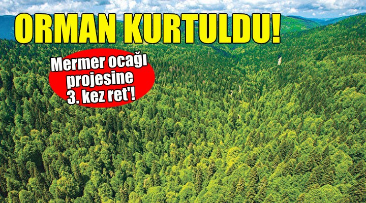 Orman kurtuldu... Mermer ocağı projesine 3. kez ret!