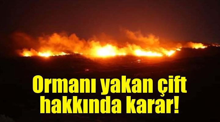 Ormanı yakan çift hakkında karar!