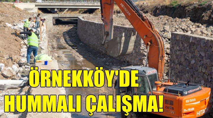 Örnekköy'de hummalı çalışma!