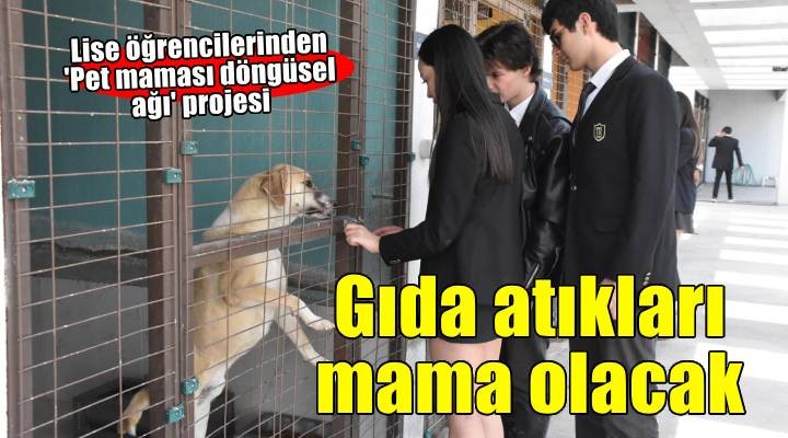 Otellerdeki gıda atıkları can dostlara mama olacak