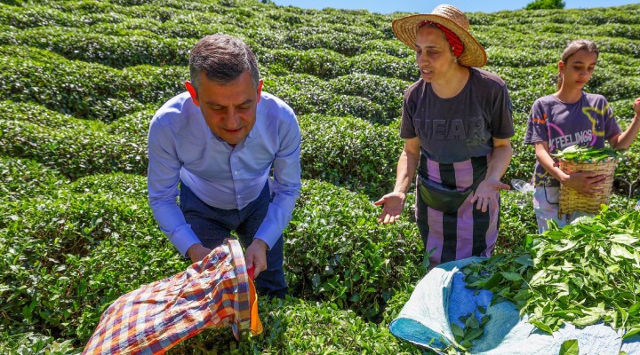 Özgür Özel: Çay üreticisinin derdini çözeceğiz!