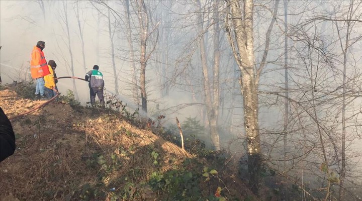 Pakdemirli'den Karadeniz'deki yangınlarla ilgili açıklama