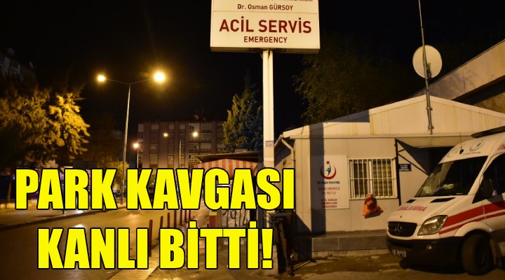 Park kavgası kanlı bitti!