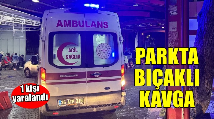 Parkta bıçaklı kavga...