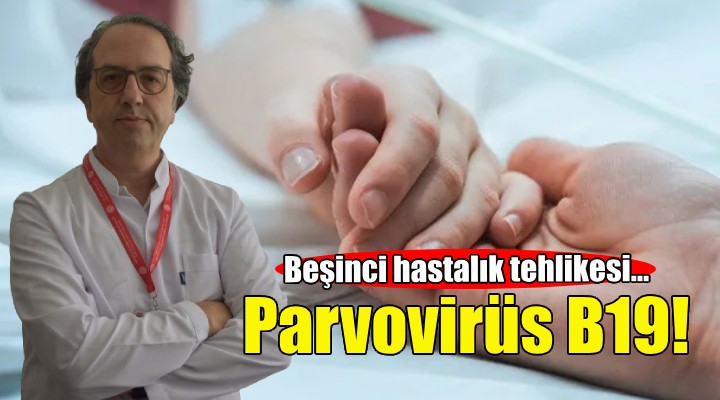 Parvovirüs B19: Beşinci hastalık tehlikesi!