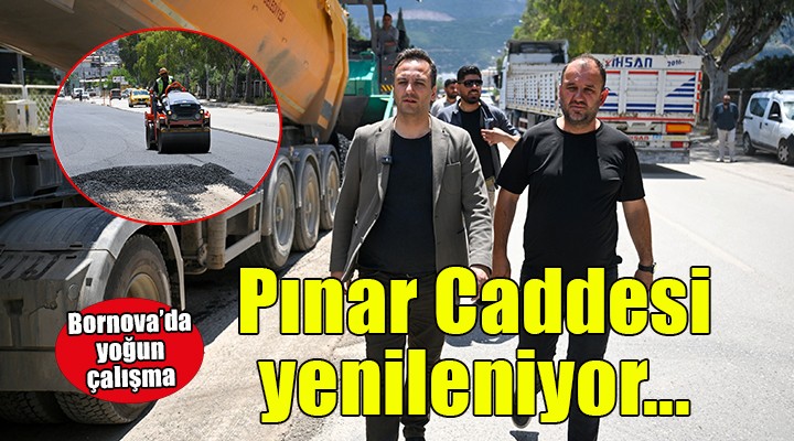 Pınar Caddesi yepyeni bir çehreye kavuşuyor