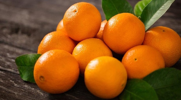 Portakal ihracatı 