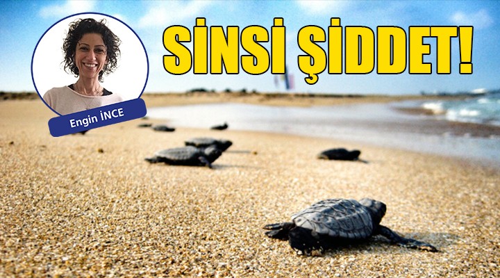 SİNSİ ŞİDDET!