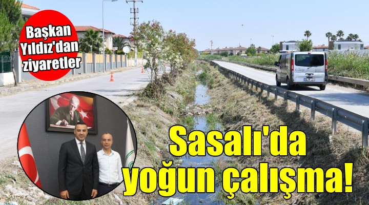 Sasalı'da yoğun çalışma...