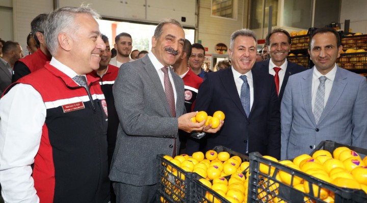 Satsuma mandalina yüklü TIR'lar yola çıktı!