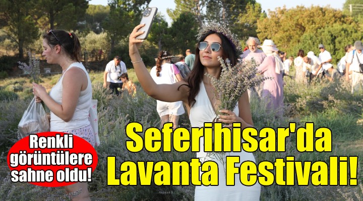 Seferihisar'da Lavanta Festivali coşkusu!