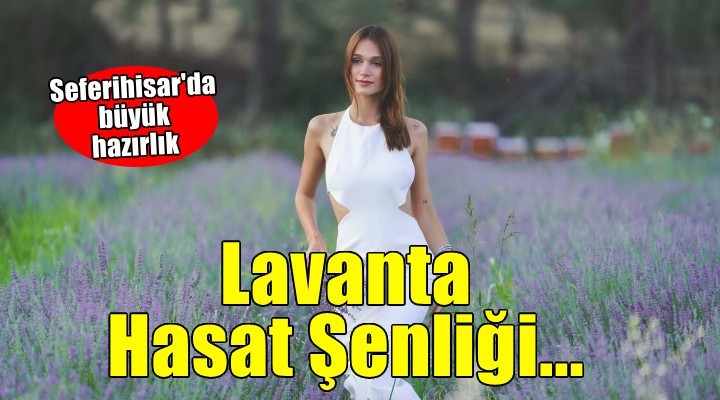 Seferihisar'da Lavanta Hasat Şenliği...