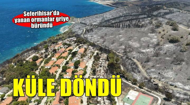 Seferihisar'da yeşil alanlar, yangın sonrası gri renge büründü