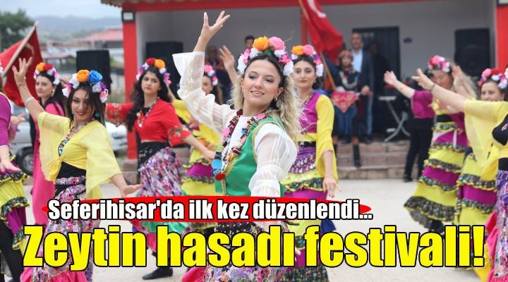 Seferihisar'da zeytin hasadı festivali!