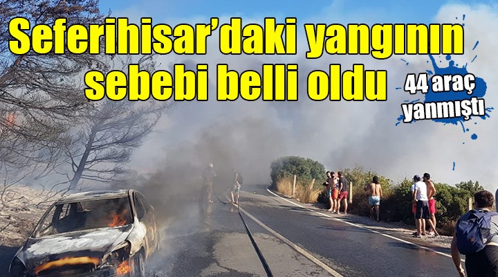 Seferihisar'daki yangının sebebi belli oldu