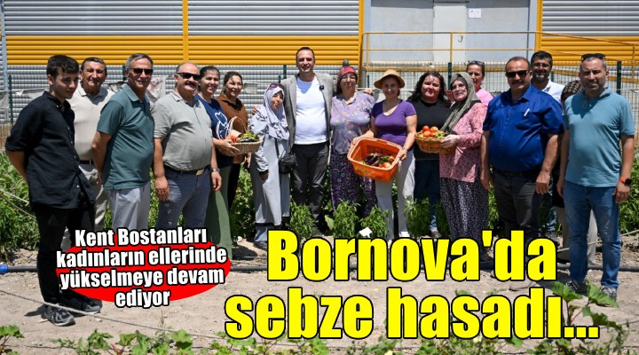 Şehirde toprakla buluşma