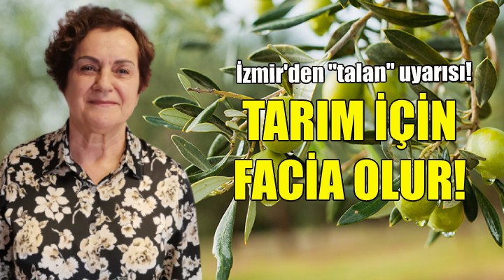 Şehrazat Mercan: Tarım için facia olur, talan edilir ortalık!