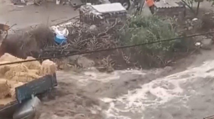 Sel sularına kapılan çoban can verdi!