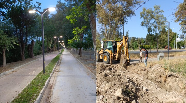 Selçuk'ta Dutlu Yol yeniden ışıl ışıl!