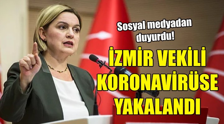 Selin Sayek Böke, koronavirüse yakalandı!