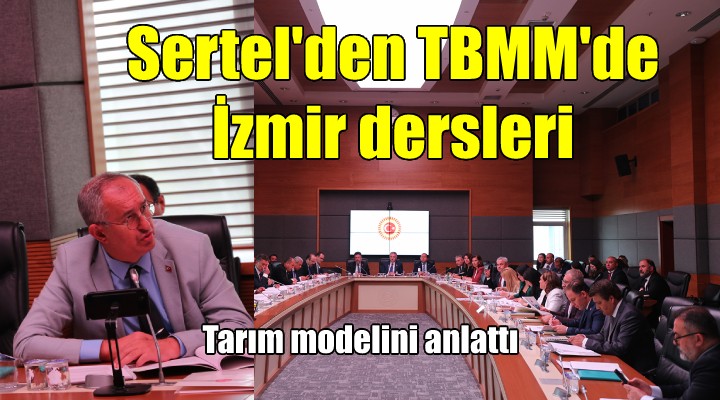Sertel'den TBMM'de İzmir dersleri...