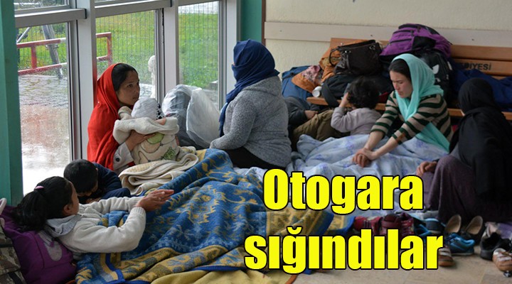 Sınırı geçemeyen göçmenler Dikili Otogarı'na sığındı